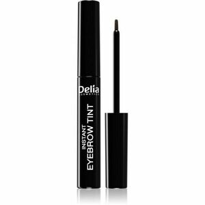 Delia Cosmetics Eyebrow Expert barva na obočí odstín 4.0 BROWN 6 ml obraz