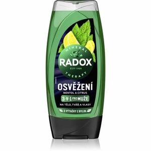 Radox Men Feel Strong sprchový gel a šampon 2 v 1 Mint & Tea Tree 225 ml obraz