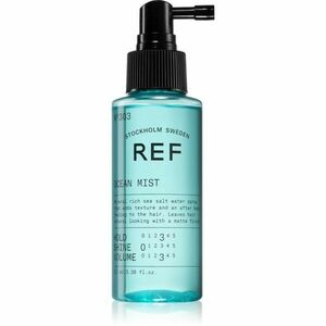 REF Ocean Mist N°303 slaný sprej s matným efektem 100 ml obraz