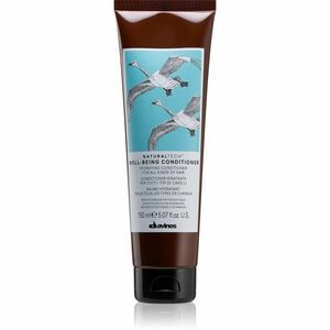 Davines Naturaltech Well-Being Conditioner kondicionér pro všechny typy vlasů 150 ml obraz