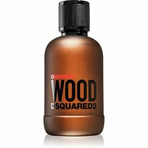 Dsquared2 Original Wood parfémovaná voda pro muže 100 ml obraz