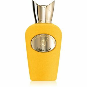 Sospiro Erba Oud parfémovaná voda unisex 100 ml obraz