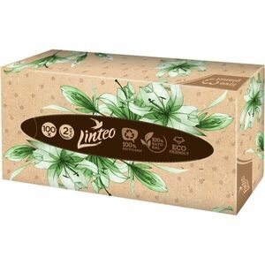 Linteo Paper Tissues Two-ply Paper, 100 pcs per box papírové kapesníky 100 ks obraz