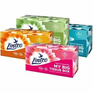 Linteo Paper Tissues Two-ply Paper, 200 pcs per box papírové kapesníky 200 ks obraz