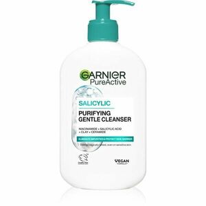 Garnier Pure Active hydratační čisticí gel proti nedokonalostem pleti 250 ml obraz