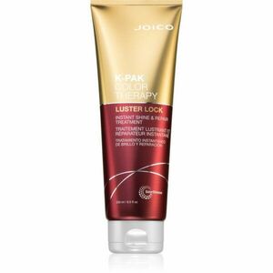 Joico K-PAK Color Therapy maska pro poškozené a barvené vlasy 250 ml obraz