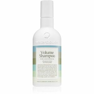 Waterclouds Volume Shampoo šampon pro objem jemných vlasů 250 ml obraz