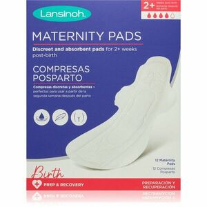 Lansinoh Maternity Pads 2 weeks+ porodnické vložky 12 ks obraz