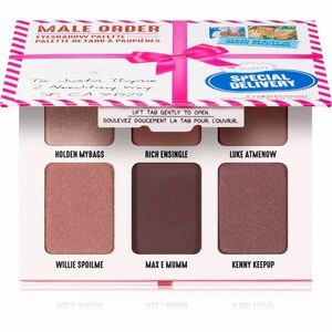 theBalm Male Order® Special Delivery paletka očních stínů 13, 2 g obraz