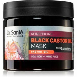 Dr. Santé Black Castor Oil intenzivní maska na vlasy 300 ml obraz