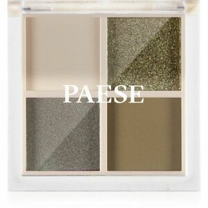 Paese Daily Vibe Palette paletka očních stínů 02 Military Vibe 5, 5 g obraz