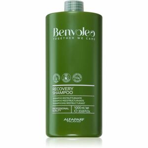 Alfaparf Milano Benvoleo Recovery restrukturalizační šampon pro poškozené vlasy 1000 ml obraz