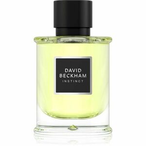 David Beckham Instinct parfémovaná voda pro muže 75 ml obraz