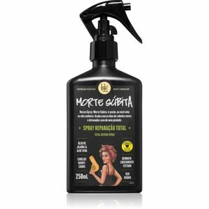 Lola Cosmetics Morte Súbita Spray Reparação Total sprej pro poškozené vlasy 250 ml obraz