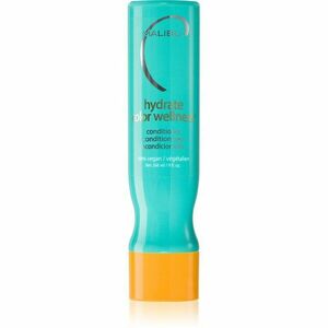 Malibu C Color Wellness hydratační kondicionér pro barvené vlasy 266 ml obraz