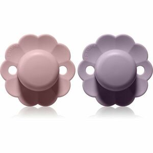 Suavinex Wonder SX Pro Physiological 6-18 m dudlík Mist Lavender + Pale Mauve 2 ks obraz