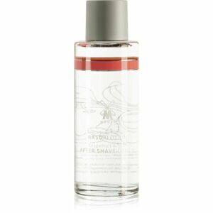 Mühle After Shave Lotion Grapefruit & Mint voda po holení pro muže 125 ml obraz