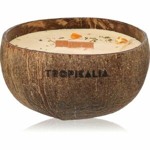 Tropicandle Sandalwood & Tangerine vonná svíčka s dřevěným knotem 350 ml obraz