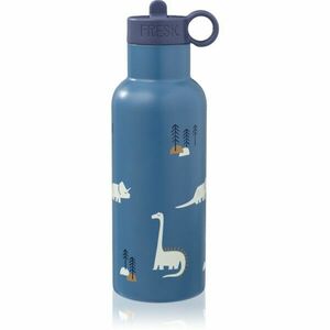 FRESK Nordic termoláhev Dino 500 ml obraz