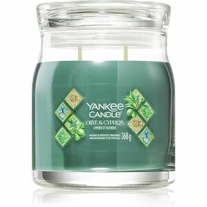 Yankee Candle Olive & Cypress vonná svíčka 368 g obraz