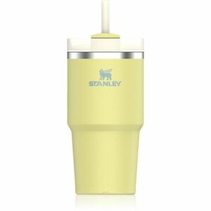 Stanley Quencher H2.O FlowState™ Tumbler nerezový tumbler s brčkem malý Pomelo 600 ml obraz