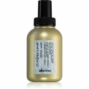 Davines More Inside Blow Dry Primer ochranný sprej na vlasy 100 ml obraz
