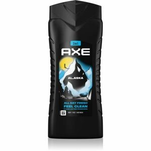 Axe Alaska Shower Gel sprchový gel 3 v 1 400 ml obraz