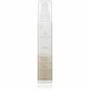 Paul Mitchell Awapuhi Wild Ginger HydroMist Blowout Spray fixační sprej pro dokonalý objem 150 ml obraz
