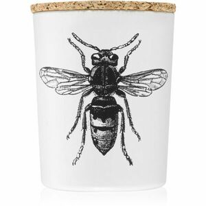 Vila Hermanos Insect Calabrone vonná svíčka 75 g obraz