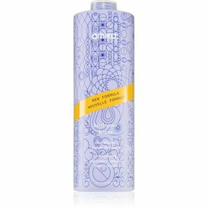 amika Bust Your Brass Cool Blonde fialový tónovací šampon pro blond a šedivé vlasy 1000 ml obraz