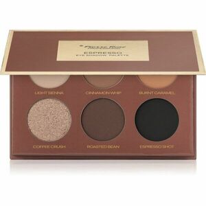 Pierre René Mocha Mousse paletka očních stínů odstín Espresso 6x1.3 g obraz