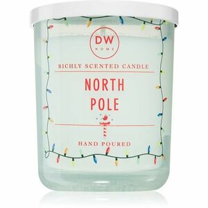 DW Home Signature North Pole vonná svíčka 111 g obraz