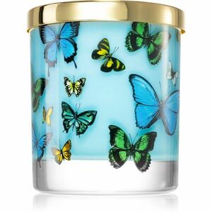 Castelbel Portus Cale Butterflies vonná svíčka 210 g obraz