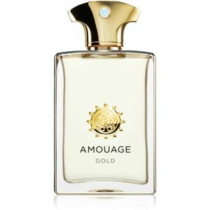 Amouage Gold Man parfémovaná voda pro muže 100 ml obraz