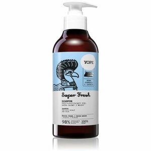 Yope Daily Heroes Fresh Shampoo Fresh Grass osvěžující šampon pro mastné vlasy a vlasovou pokožku 300 ml obraz