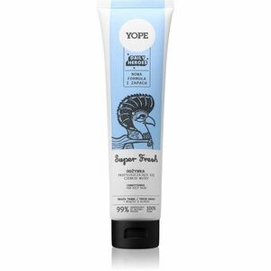 Yope Daily Heroes Fresh Conditioner Fresh Grass objemový kondicionér pro mastné vlasy 170 ml obraz