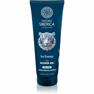 Natura Siberica Arctic Wild Icy Energy sprchový gel a šampon 2 v 1 pro muže 200 ml obraz