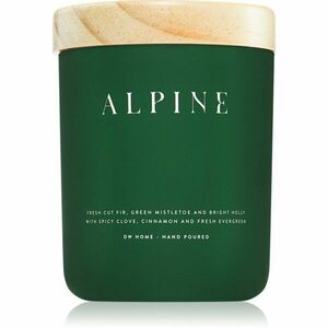 DW Home Tierra Alpine vonná svíčka 249 g obraz