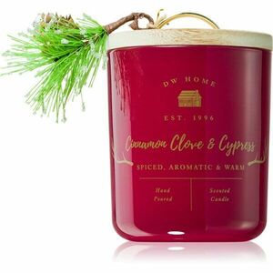 DW Home Farmhouse Cinnamon Clove & Cypress vonná svíčka 244 g obraz