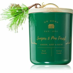 DW Home Farmhouse Juniper & Pine Forest vonná svíčka 445 g obraz