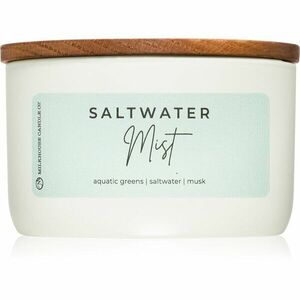 Milkhouse Candle Co. Statement Saltwater Mist vonná svíčka 283 g obraz