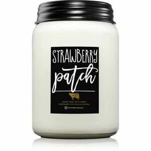 Milkhouse Candle Co. Farmhouse Strawberry Patch vonná svíčka Jar 737 g obraz