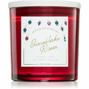 DW Home Winter Wonderland Snowflake Kisses vonná svíčka 374 g obraz