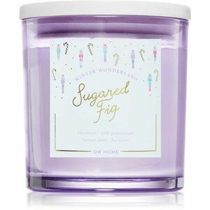 DW Home Winter Wonderland Sugared Fig vonná svíčka 374 g obraz
