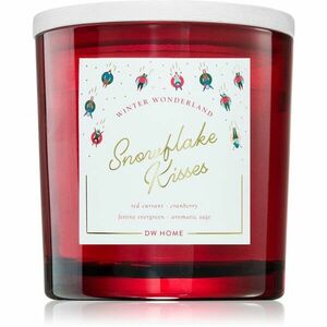 DW Home Winter Wonderland Snowflake Kisses vonná svíčka 510 g obraz
