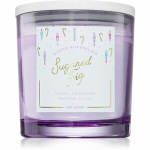 DW Home Winter Wonderland Sugared Fig vonná svíčka 510 g obraz