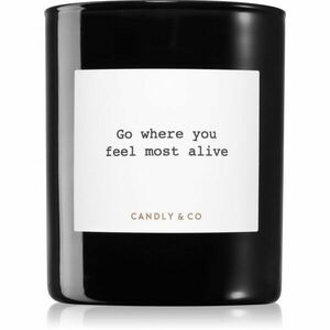 Candly & Co. No. 5 Go Where You Feel Most Alive vonná svíčka 250 g obraz