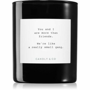 Candly & Co. No. 8 You And I Are More Than Friends vonná svíčka 250 g obraz