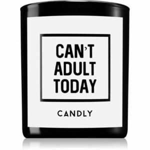 Candly & Co. Can't adult today vonná svíčka 250 g obraz