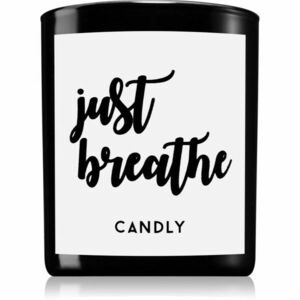 Candly & Co. Just Breathe vonná svíčka 250 g obraz